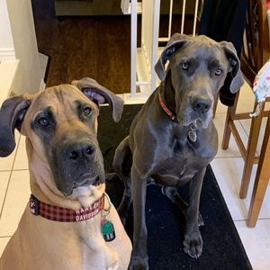 Meet your Posher, Kyna